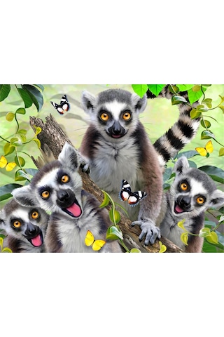 Prime 3d - Lemur Pelüş Ve Selfie 48 Parça Puzzle 15801