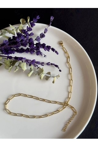 Paperclip Kabartma Choker Gold Çelik Zincir Kolye Choker Serisi Altın