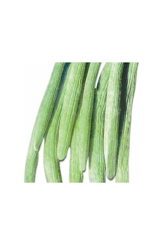 Kıtır Kıtır Yemesi Olan Geleneksel Uzun Anadolu 106 Acur Tohumu 20 Tohum