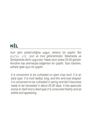 AGRodal Tarım Ata Tohumu Yerli Doğal İnce Tere 1000 Adet Tohum