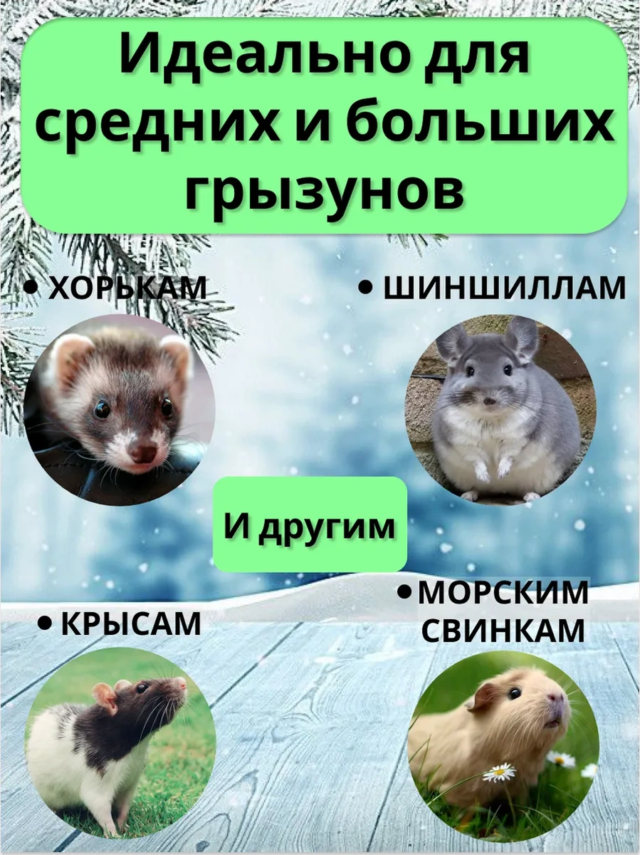 Petipet 2 Katlı Çiftli Kemirgen Fare Hamak 196455472