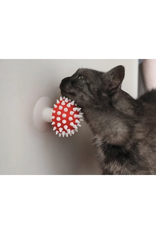 Pureysma Görünümlü Kedi Kaşıma Oyuncağı Tımar Catnip Uy Beyaz - Kırmızı