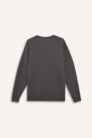 Defacto Relax Fit Bisiklet Yaka Kalın İçi Yumuşak Tüylü Basic Düz Sweatshirt T5139az25augr438 Gri