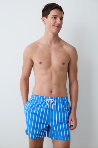 Penti Blue Thick Stripe Çok Renkli Şort