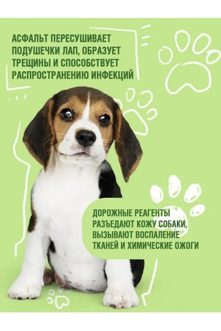 Ecozavr Pantenol İçeren, A, E Vitaminli 4500 Ml Köpek Şampuanı. 168687928