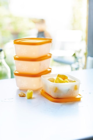 Tupperware Alaska Kap Kısa Gövdeli 4'Lü Set 450 Ml 7691980355161
