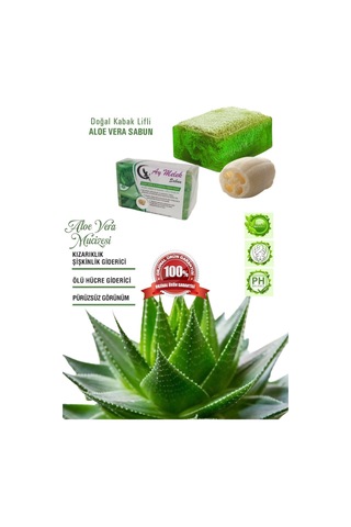 Aloe Vera Özlü Doğal Kabak Lifli Güzellik Sabunu Cilt   Etkili Diğer
