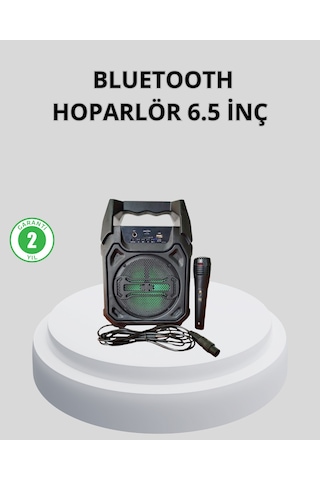Taşınabilir Bluetooth Hoparlör Fm Radyo, Usb, Sd Kart Ve Tws Öz
