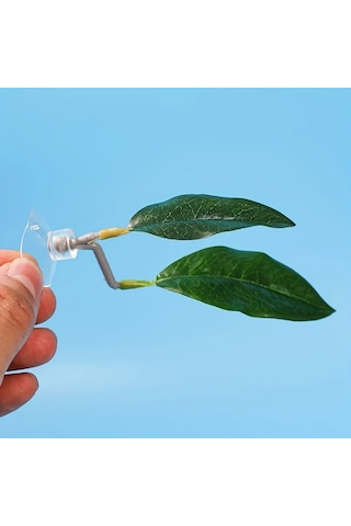 Elmpaly Xk2 Beta Balığı Aksesuarları Pvc Yapay Bitki Seti Emicili Dekor Ve Dinlenme