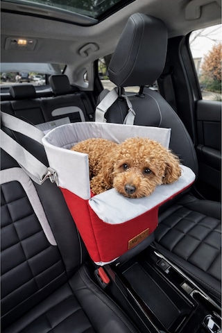 Reyo Max Design Kedi Köpek Taşıma Çantası Kırmızı Seyahat İçin Hafif Ve Hava Alabilen Evcil Hayvan Çantası