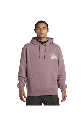 Quiksilver Omni Logo Hoodie Erkek Sweatshirt Mor