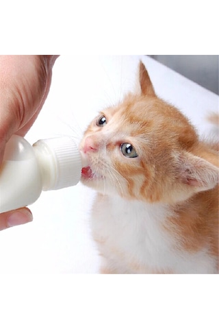 Tineke Yavru Kedi Köpek Biberonu 2 Emzikli 50 ML
