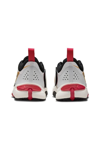Nike Çocuk Basketbol Ayakkabısı Team Hustle D 11 Dv8994-104 Aslan Sport Beyaz