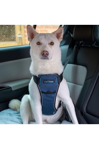 Company Of Animals Carsafe Çarpışma Testli Köpek Harness Göğüs Tasması, Medium Mavi Genel