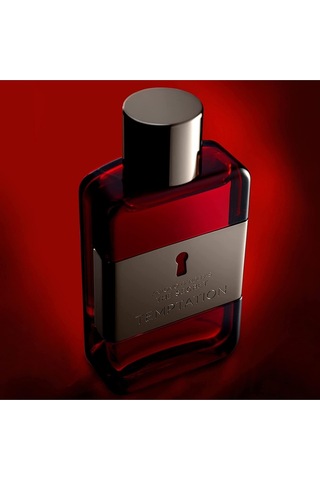 Erkekler İçin The Secret Temptation Odunsu Kalıcı Edt Parfüm 100 Ml Baharatlı - Odunsu