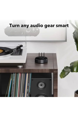 Wiim Mini Airplay2 Kablosuz Ses Aktarıcı