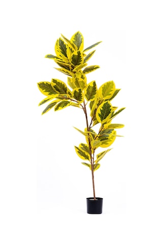 The Mia Yapay Ficus Altissima Ağacı Sarı Yeşil 170 Cm
