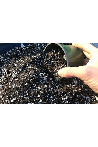 Bluberry Yaban Mersini Toprağı 30 Litre