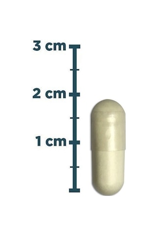 Natures Supreme Folic Acid 400 Mcg 90 Kapsül Aromasiz