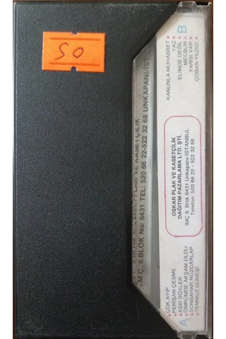 Plak Değildir Kaset Tir Yıldırım Gürses Çoban Yıldızı Kaset