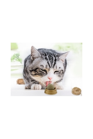 Zensaas41 Kedi Nanesi Catnip Oyun Topu Zensaa56
