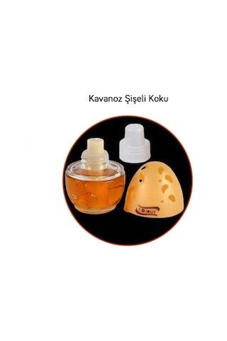 E-Jolly Kavun Koku Oto Ev Büro Kokusu Kavanoz Cam Şişe 100 ML N11.105