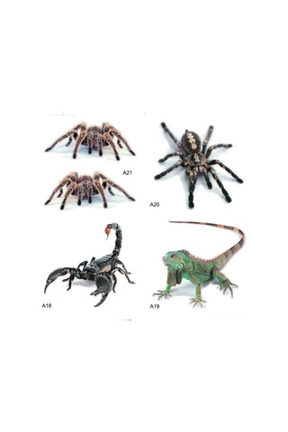 Geekyou Dayanıklı A18 Akrep Modeli Araba Sticker - Gerçekçi Simülasyonlu Hayvan Desenli Araba Dekorasyon Sticker, Kolay Kullanıma Uygun, Kompakt Ve Dayanıklı Malzeme İle Yapılmış