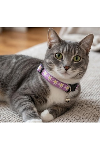 Patibon Galaxy Harmony Kedi Boyun Tasması, Mor, Özel Koleksiyon