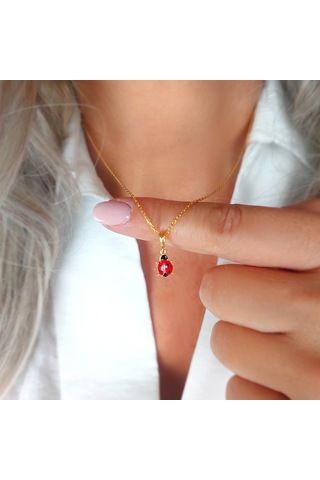 925 Ayar Gümüş Kırmızı Uğur Böceği Kolye Gold