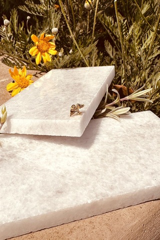 Eagle Kartal Kuş Model Şık Altın Renk Piercing Tragus Helix Çelik Stainless Steel Altın