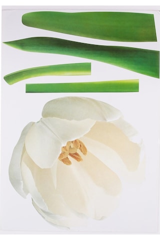 Sıa Duvar Süsü (Sticker) Çiçekli Şeffaf Filmli Pvc