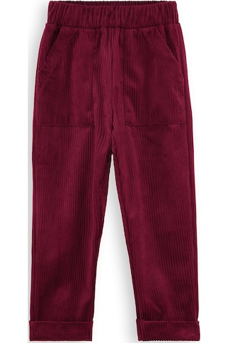 Denokids Fitilli Kadife Bordo Erkek Çocuk Pantolon Renkli