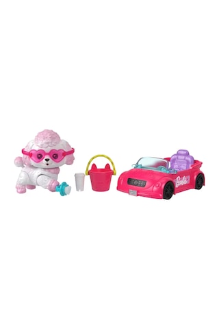 Barbie Dream Squad Renk Aksesuarlı Yavru Köp Jmw94 Seri 1