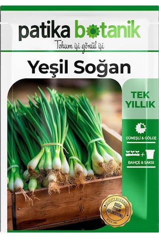 Yeşil Soğan Tohumu 500 Adet