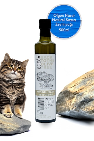 500 Ml Soğuk Sıkım Zeytinyağı Olgun Hasat , Edremit Tipi Zeytin , Sızma