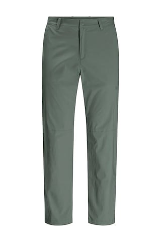 Jack Wolfskin Wanderthirst Outdoor Pantolon Yeşil Yeşil