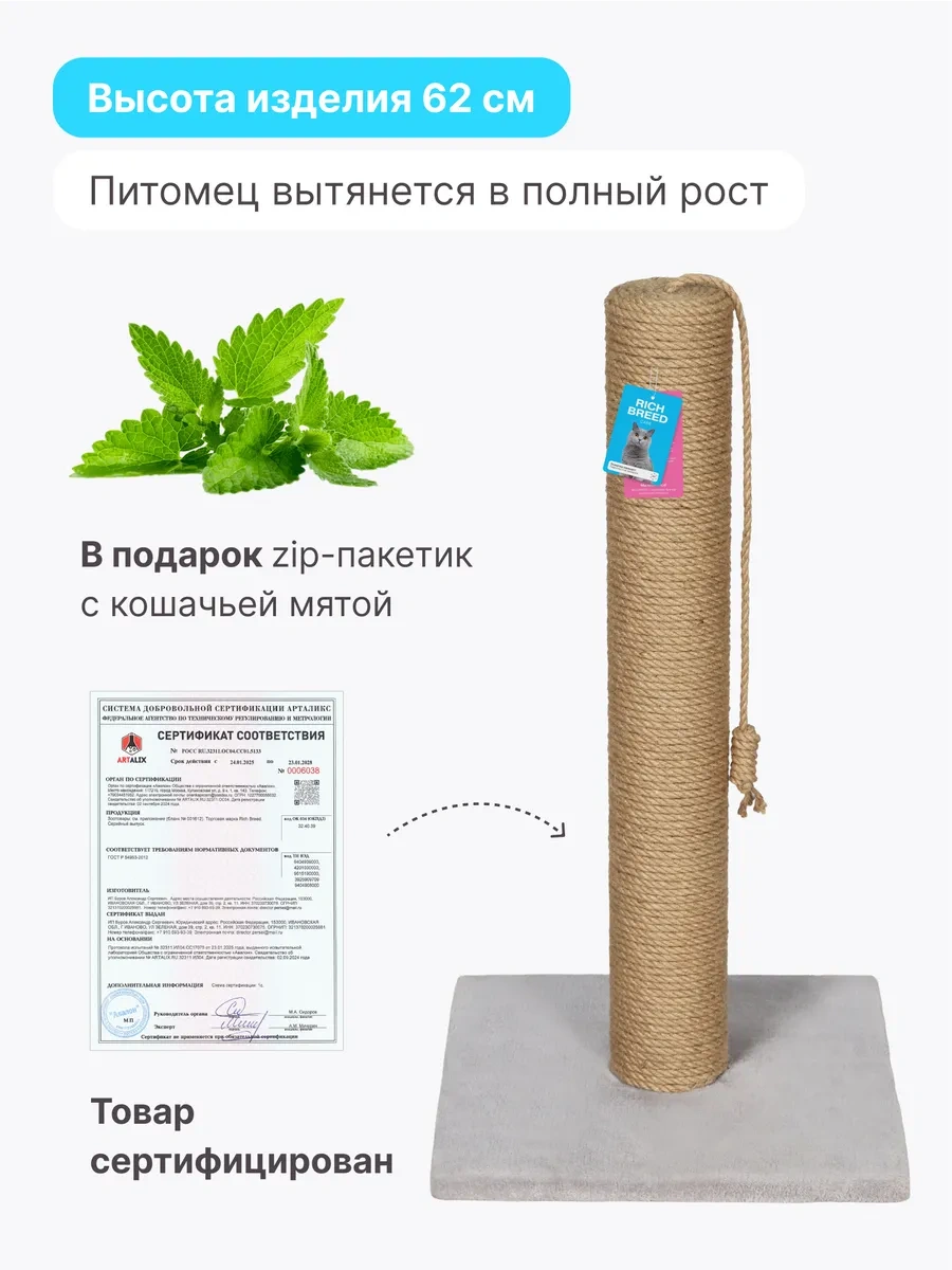 Rıch Breed Kedi İçin Tırmalama Direği Ayaklı Masa 37412028