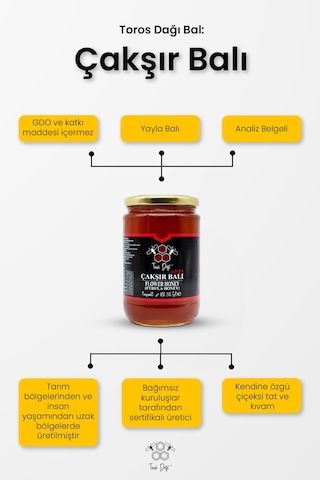 Toros Dağı Çakşır Balı 860 G