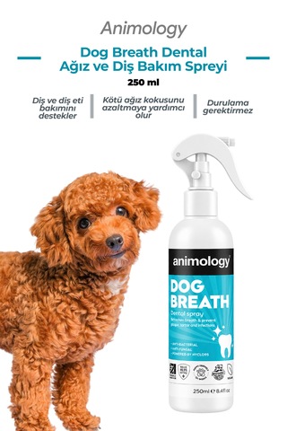 Animology Dog Breath Dental Spray Köpek Nefes Ve Diş Bakım Spreyi 250ml