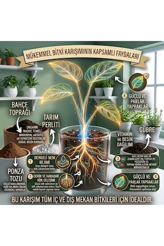 3 Litre Bitki Toprağı Saksı Toprağı Bahçe Toprağı Tarım Perliti Ponza Tozu Ve Gübre Karışımı 3 L