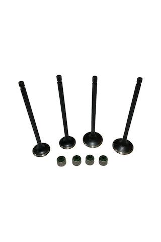 Bajaj Pulsar Ns 150 Subap Ve Keçe Set 4lü Bajaj Pulsar Ns 150 Subap Ve Keçe Set 4lü