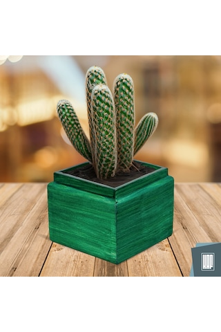 Kaf Ahşap Dekoratif Mini Saksı / Küp / Zümrüt Yeşili