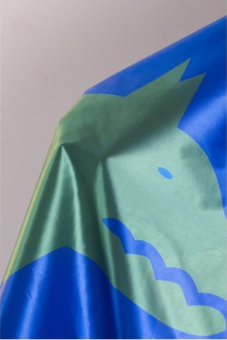 Göktürk Bayrağı Raşel Kumaş Dijital Baskı 100x150 cm