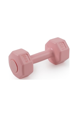 Psspor 2 Adet 1kg Pembe Renk Dambıl Seti 2 Adet 1kg Gönderim Yapılmaktadır
