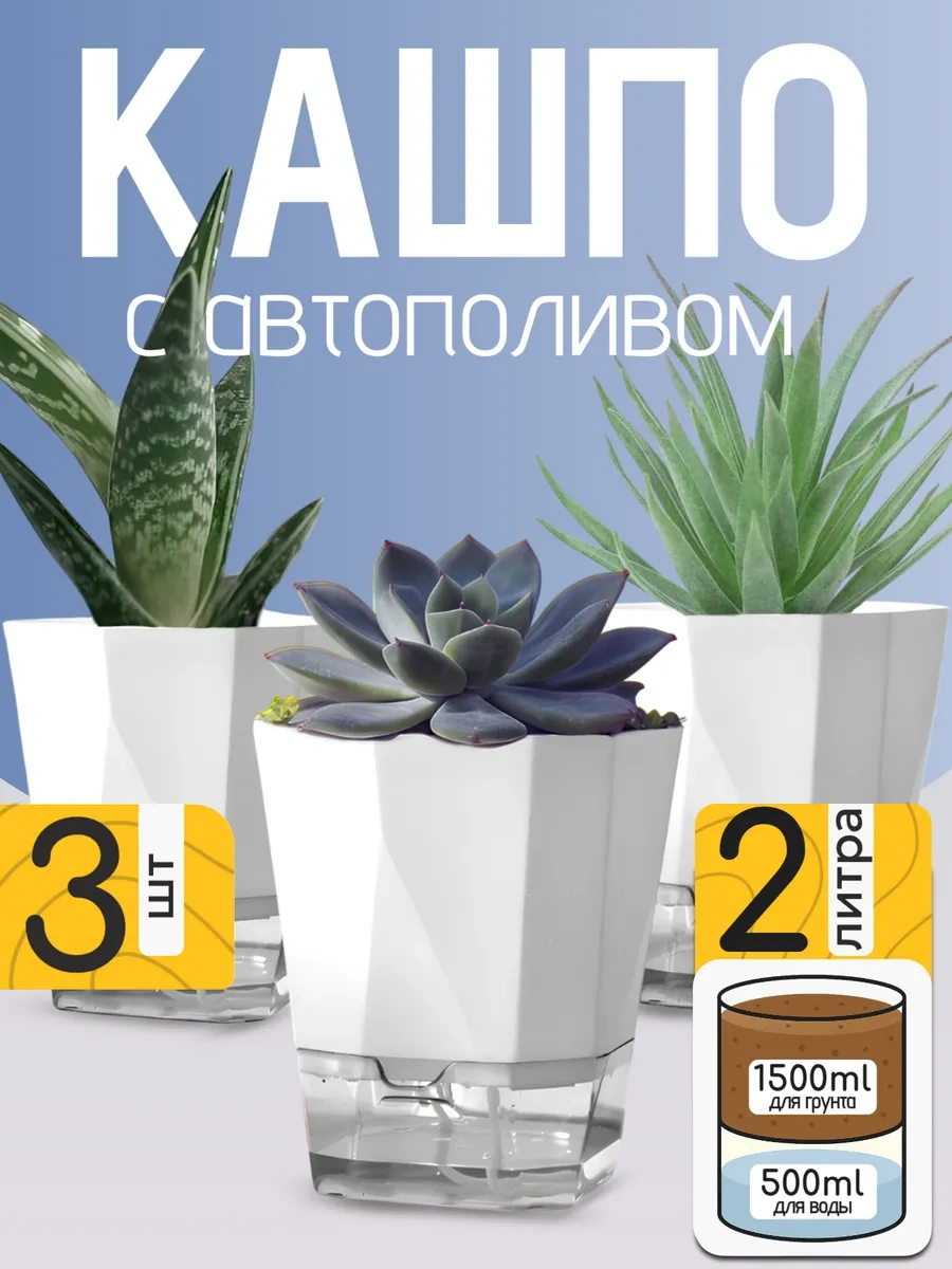 Best Room 2 Litre Fitik Otomatik Sulamalı Saksı Seti 376285972