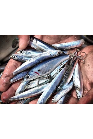 Jack Fin Pelagus 90-S Sahte Yem Saury ''Özel Renk''