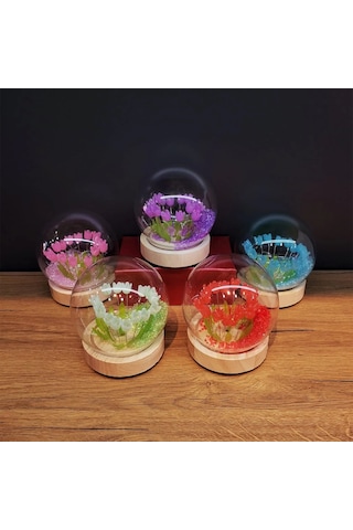 Led Işıklı Lale Cam Fanus Çok Renkli