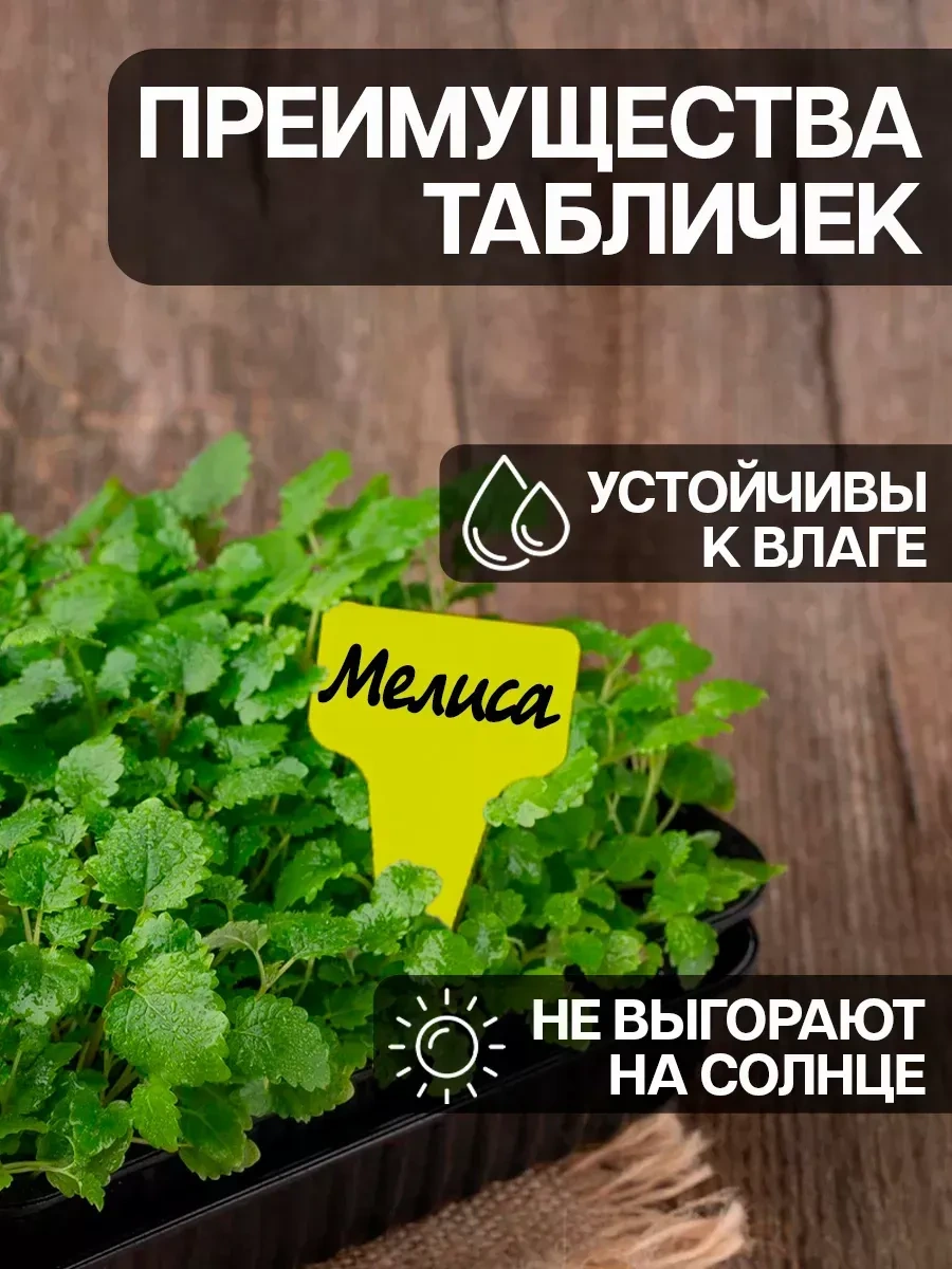 Domsadmarket Fideler Ve Bitkiler İçin Bahçe Etiketleri 50 Ad 70102389