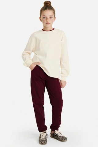 Defacto Jogger Fıt Penye Pantolon Kız Çocuk G0337a826spbr115 Bordo-br115