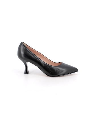 IGI&Co Nero Black Topuklu / Stiletto Kadın 1182700 Igı&co Dvn 11827 Nero siyah